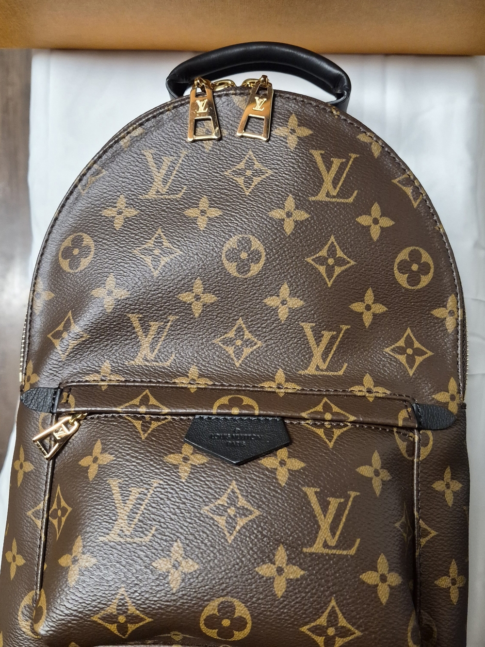 Authentic Louis Vuitton Palm Spring Backpack